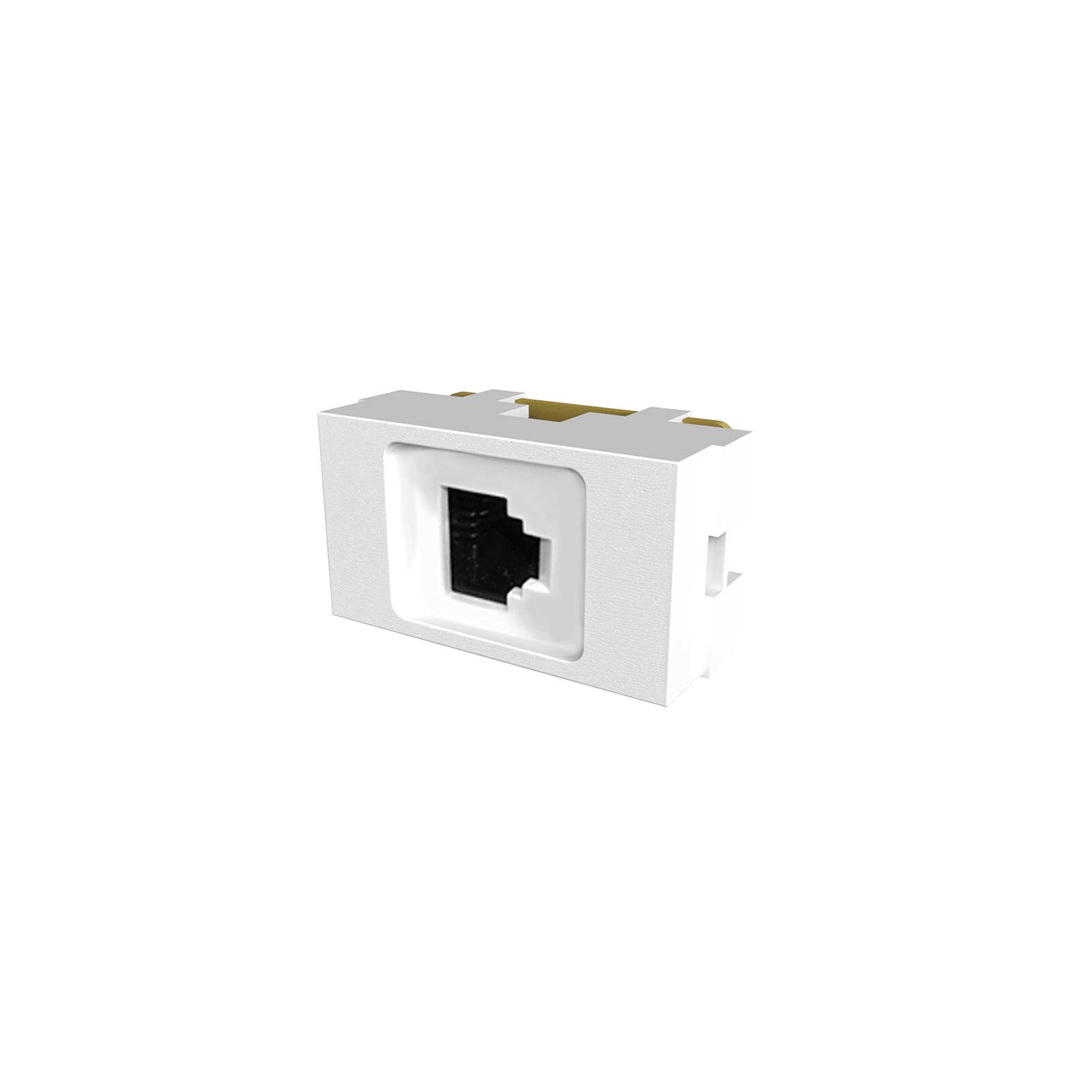 MODULO TOMA DE DATOS RJ45 Guard